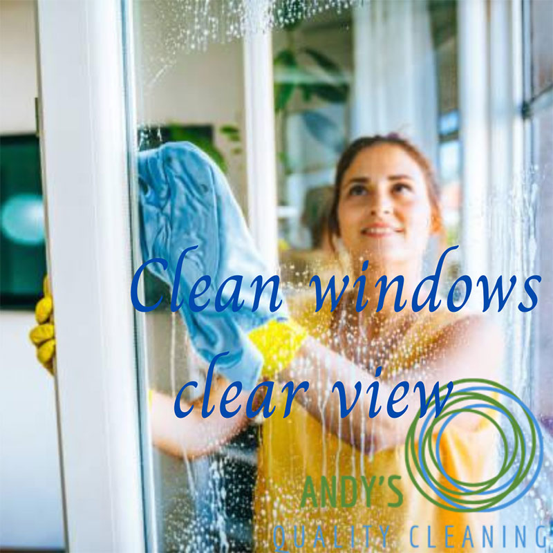 Avoid THIS With Your Windows