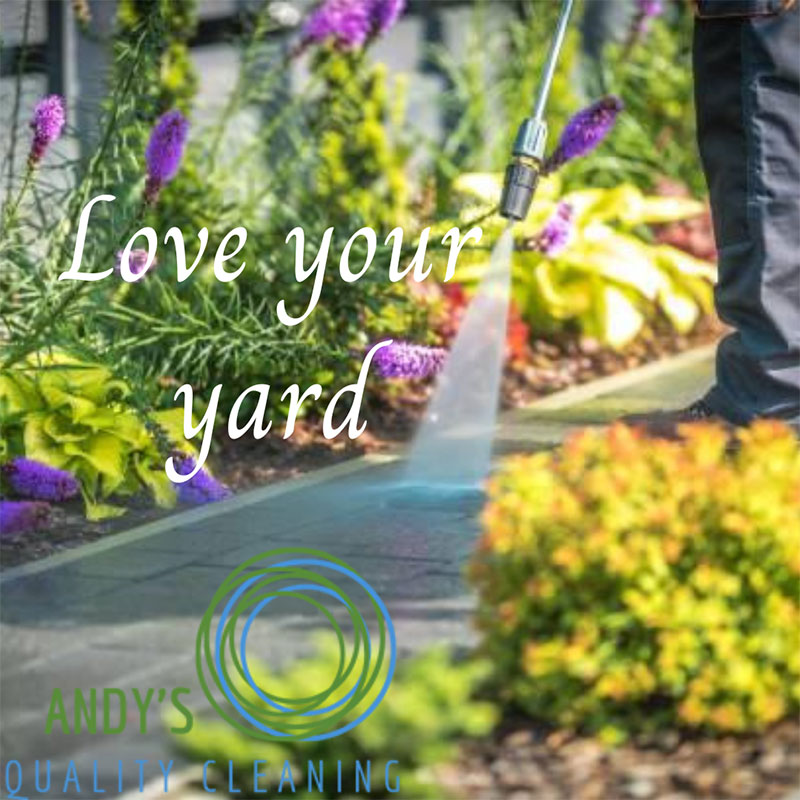 Backyard Springtime Cleaning