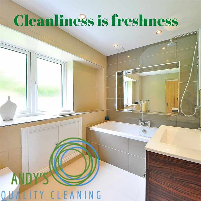 Guide to Cleaning Your Bathroom for the Spring