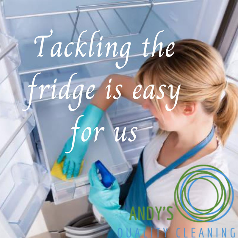 How To Handle Your Fridge