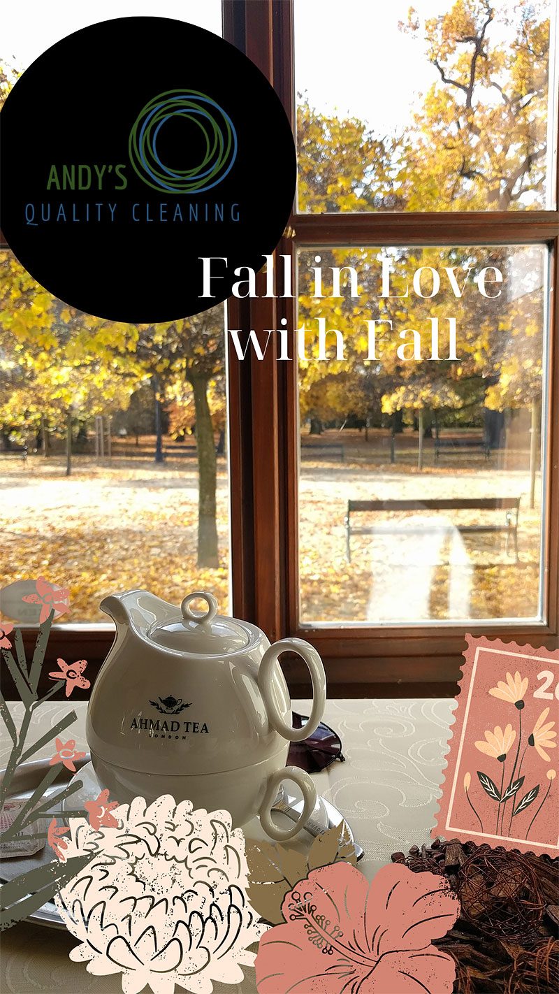 It’s Not Too Late to Clean Your Windows for Autumn