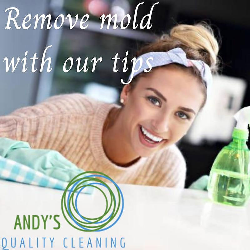 Do you have mold or mildew?