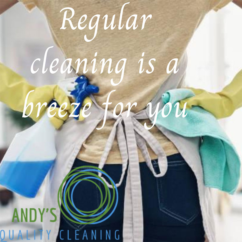 What Are the Benefits of Regular Cleaning?